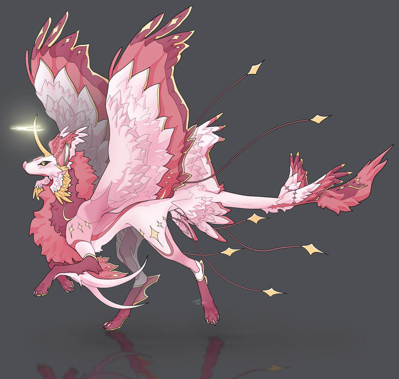 tohfi