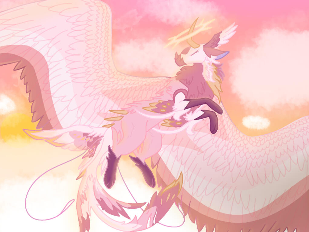 akari1836
