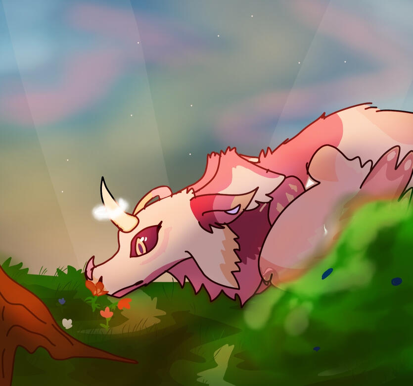 cloudy2407