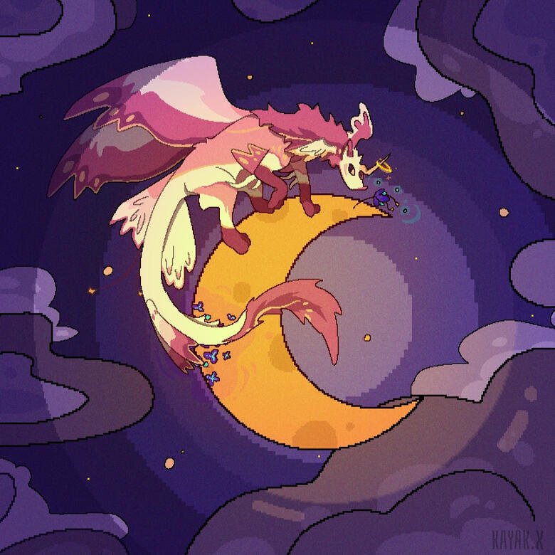 kayakx